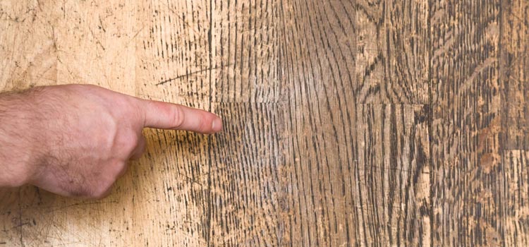 Wood Door Scratch Repair in East Pasadena
